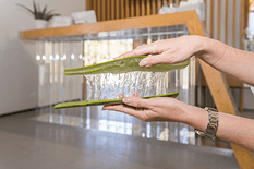 Galería de Finca Canarias 5