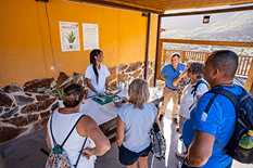 Galería de Finca Canarias 1