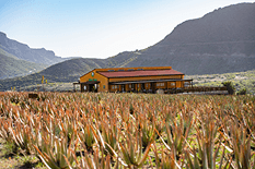Galería de Finca Canarias 6