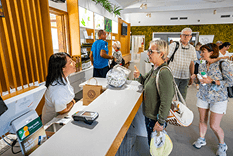 Galería de Finca Canarias 3