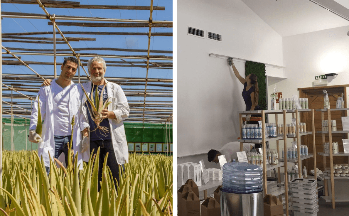 Fundadores en un cultivo de aloe vera de Finca Canarias